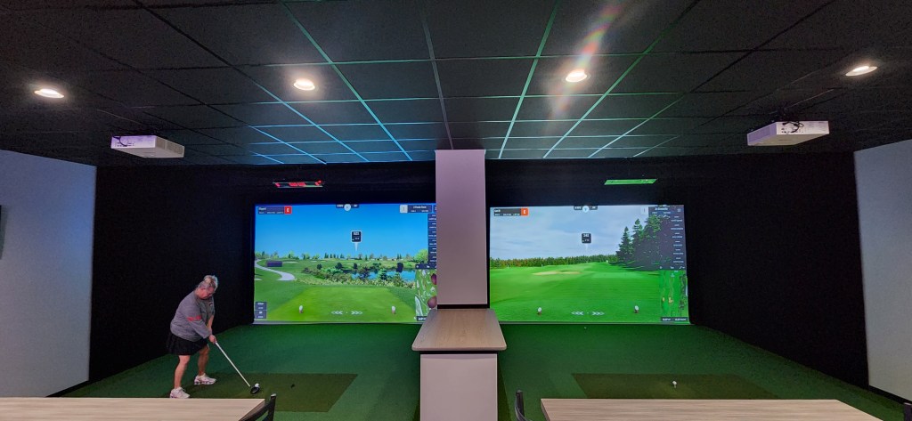 state-of-the-art premium simulators,